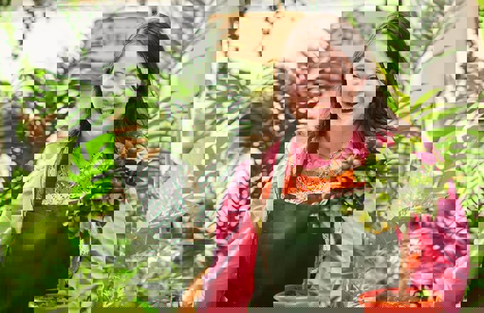 Fq94hxrx0amy3h8